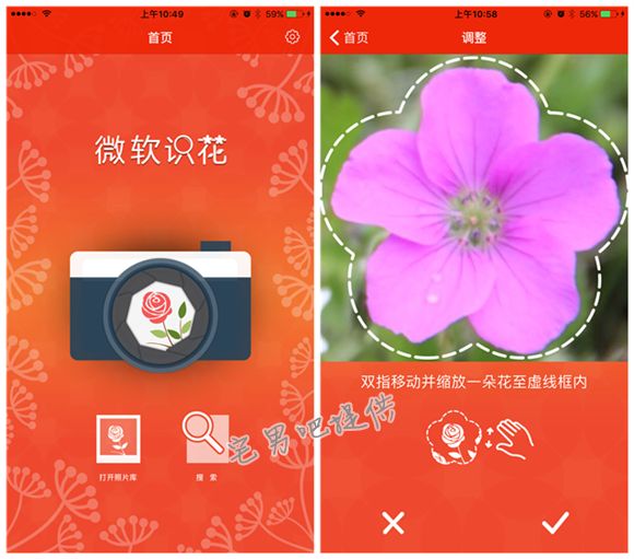 微软识花app，只需拍张照片就能知道花的名字！ - 亿乐屋