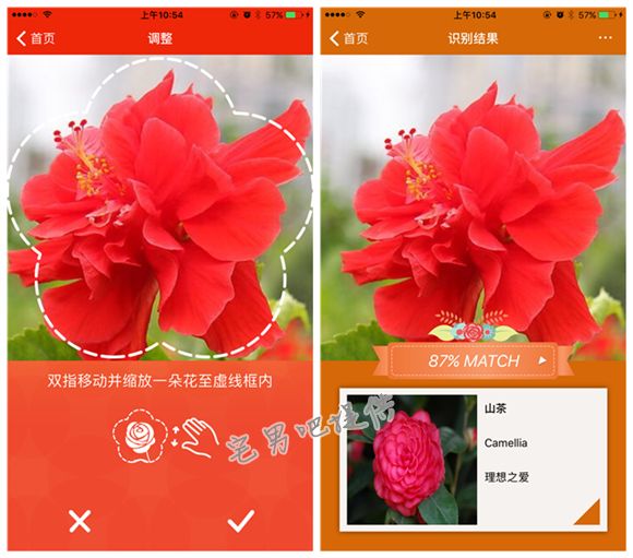 泡妞神器 微软识花 app 