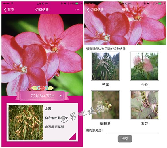 泡妞神器 微软识花 app 